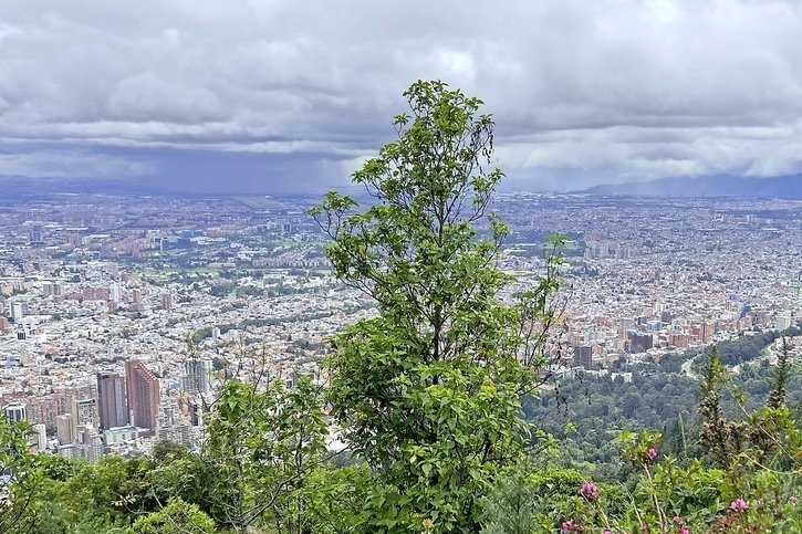 Evasion dans la vertigineuse et bouillonnante Bogota