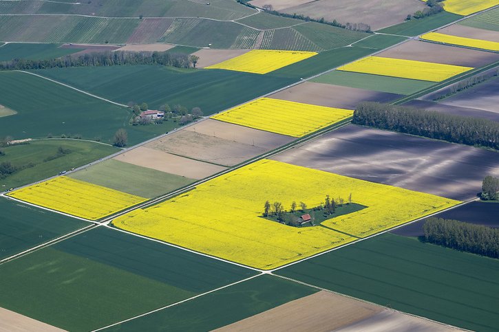 Suivant le Conseil des Etats, le National veut aussi donner un coup de pouce aux agriculteurs (image d'illustration). © KEYSTONE/MARTIAL TREZZINI