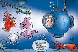 Des scientifiques découvrent cent nouvelles espèces sous-marines