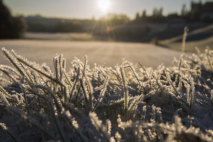 Des dommages causés par le gel tardif ne sont pas exclus (archives). © KEYSTONE/MARCEL BIERI