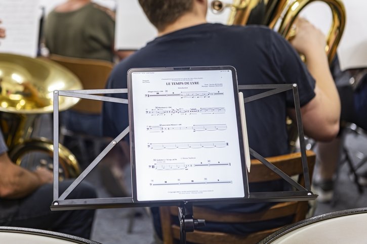 Spectacle: La Lyre de La Roche fête son 100e anniversaire